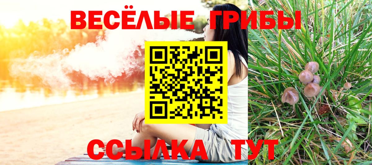 Галлюциногенные грибы Cubensis Малгобек