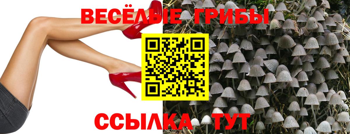 Галлюциногенные грибы Cubensis  Псилоцибиновые грибы прущие грибы  Малгобек  Вход с VPN 
