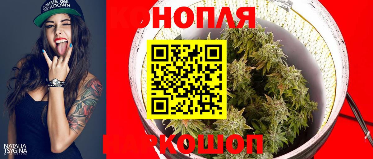 Конопля планчик  Канабис Amnesia  МАРИХУАНА White Widow  Малгобек  Вход с VPN  Конопля OG Kush 